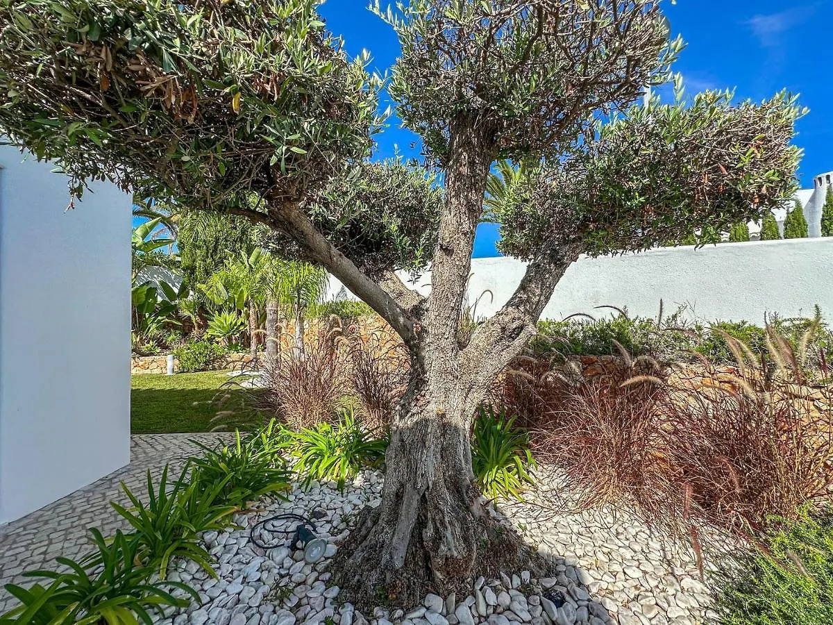 Luxury Villa Heated Pool, Walk To Sao Rafael Beach, Albufeira